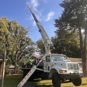 TB Tree Service