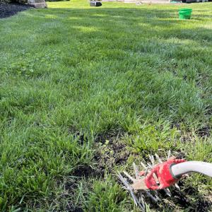 Healthy Lawns by Central Lawn Care