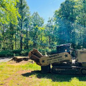 Gnarly Stump Grinding & Landscape