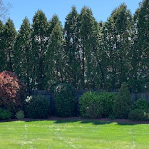 WJFlores Landscaping & Hardscaping