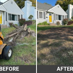 NorthCut Stump Grinding