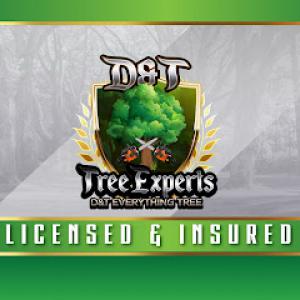 D & T Tree Experts