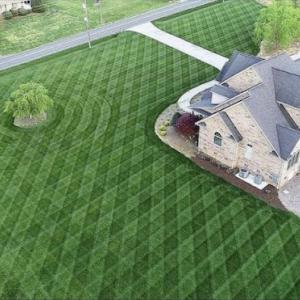 3-D Lawncare & Landscaping