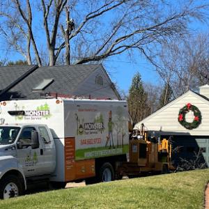Monster Tree Service of Alexandria