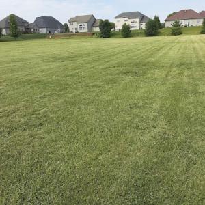 Priority Landscape & Maintenance