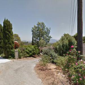 Salinas Tree Service & Landscaping