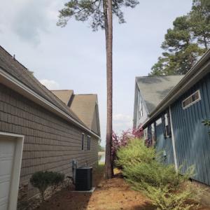 Brewington Tree Removal Service Sanford, NC