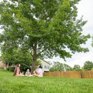 Good's Tree & Lawn Care