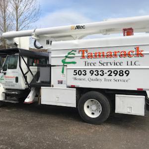 tamarack tree service