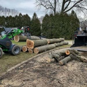 Starwood Tree Service