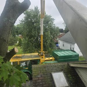 Smallwood Tree Experts