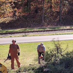 Top Notch Tree Services