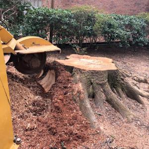 Atlanta Stump Cutters