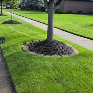 Independent Lawn Service - Fertilization & Weed Control