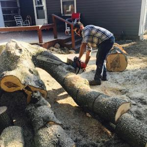 Chuck's Tree Service