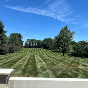 Lutz Landscaping & Management