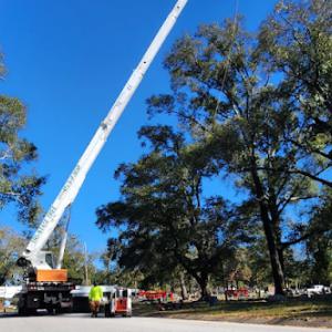 Tri-State Tree Service