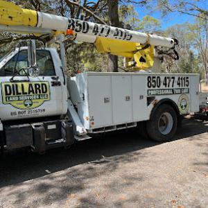 Dillard Land Services