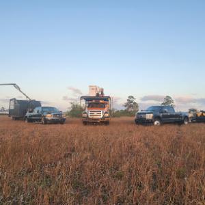 Southwest Tree Service