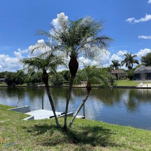 J&E tree Service.inc