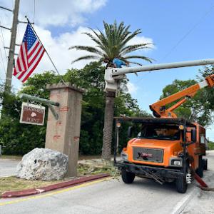 We Care Tree Service
