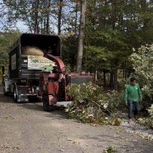 WM Tree Service