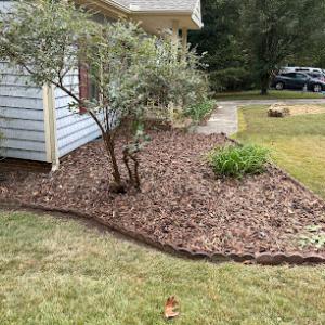 JayBird Tree Service