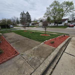 Cortez & Acevedo Landscaping & Tree Services