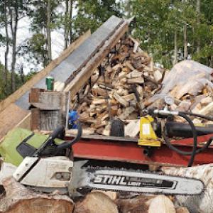 Ridge Tree Trimming Service