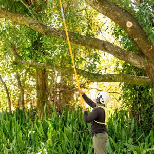 The Davey Tree Expert Company