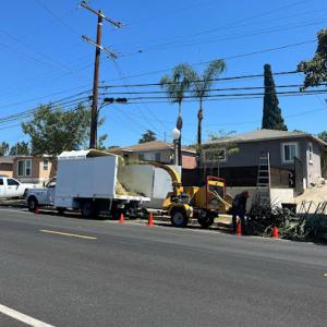 Everardo's Tree Care