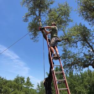 A&S Tree Care