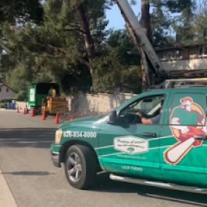 Shades of Green Tree Service