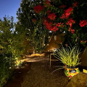 Native Landscape & Garden