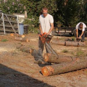 Nate Foster Tree Care