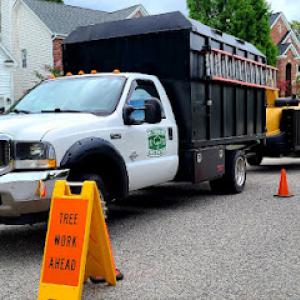 Mt Pleasant Tree Service