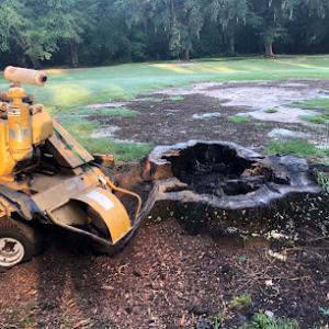 Low Country Stump Removal