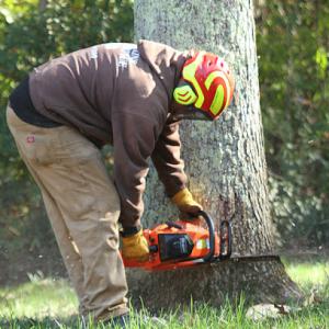 R Watkins Tree Service