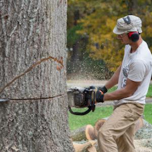 Woodpecker Tree Service