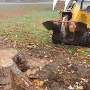 Tactical Stump Removal 🇺🇸