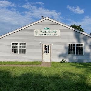 Wallingford Tree Service