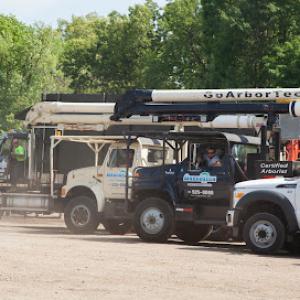 ArborTech Tree Services