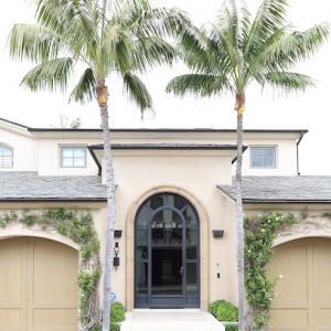 Arkadia Tree Services