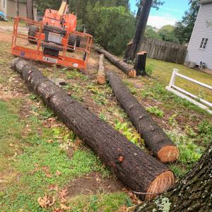 Brian's Tree Service