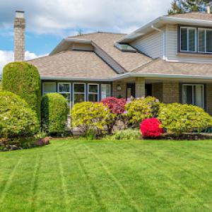 Rosario's Garden & Landscape