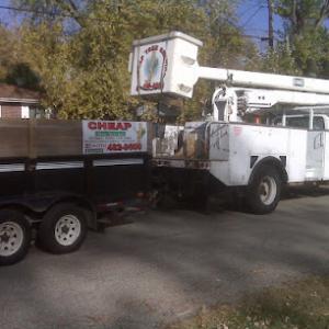 Cheap Tree Service