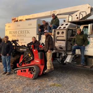 Bush Creek Tree Service