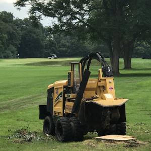 Affordable Stump Grinding