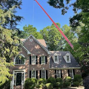 M & T Friendly Tree Service