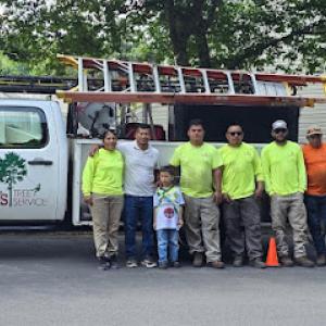 Henry's Tree Service